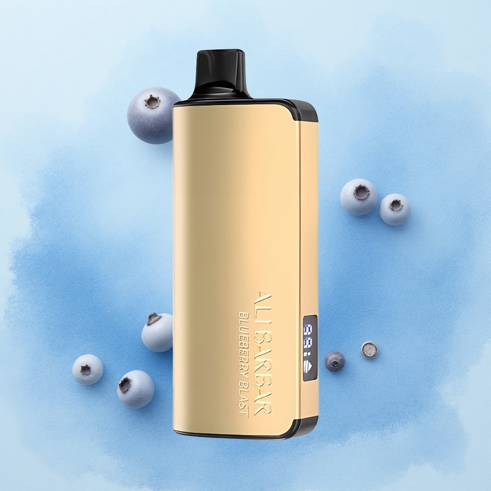 Alibarbar Ingot 9000 Puffs Blueberry Blast 22ml LED